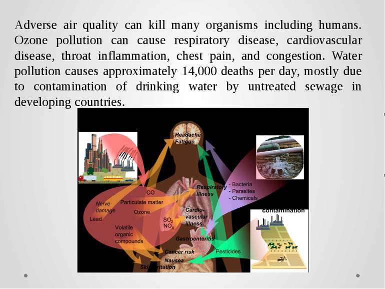 Adverse air quality can kill many organisms including humans. Ozone pollution...