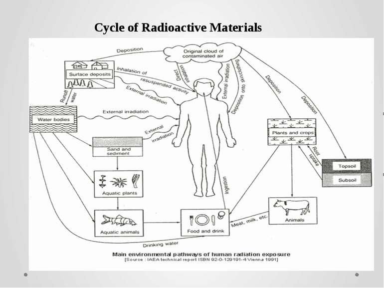 Cycle of Radioactive Materials