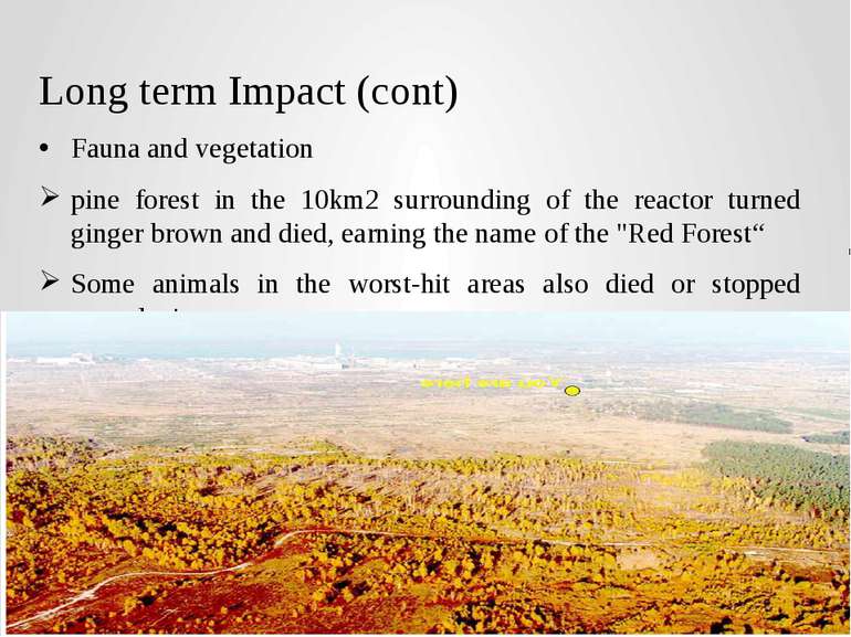 Long term Impact (cont) Fauna and vegetation pine forest in the 10km2 surroun...