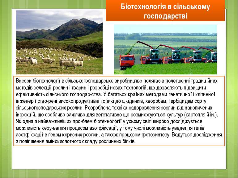 Біотехнологія в сільському господарстві Внесок біотехнології в сільськогоспод...