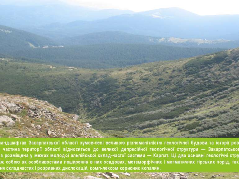 Різкі відміни у ландшафтах Закарпатської області зумов лені великою різномані...