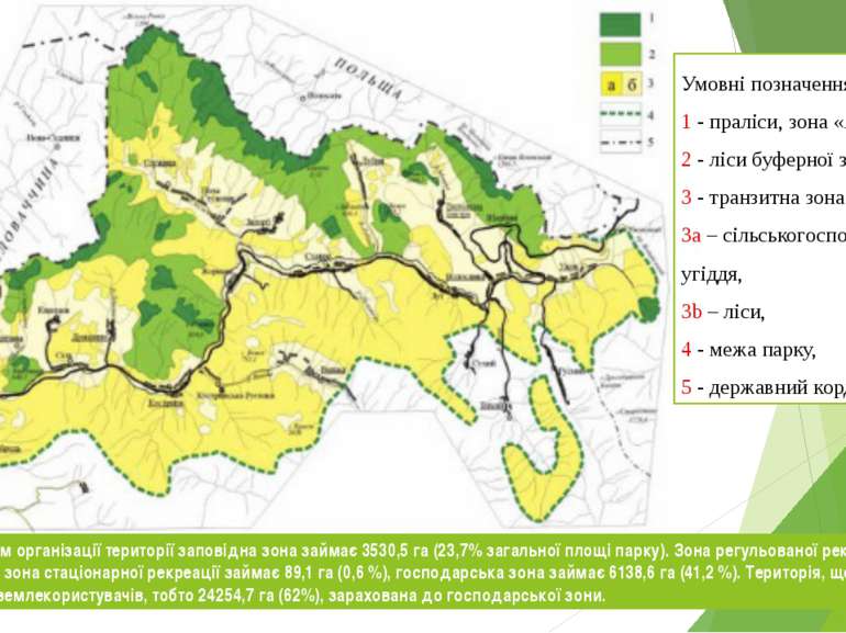 Згідно з Проектом організації території заповідна зона займає 3530,5 га (23,7...