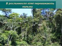 В рослинності гілеї переважають пальми