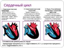 Сердечный цикл 2. Скорочення (систола) шлуночків Триває близько 0.3 с. Передс...