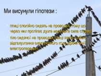Ми висунули гіпотези : птиці спокійно сидять на проводах, тому що через них п...