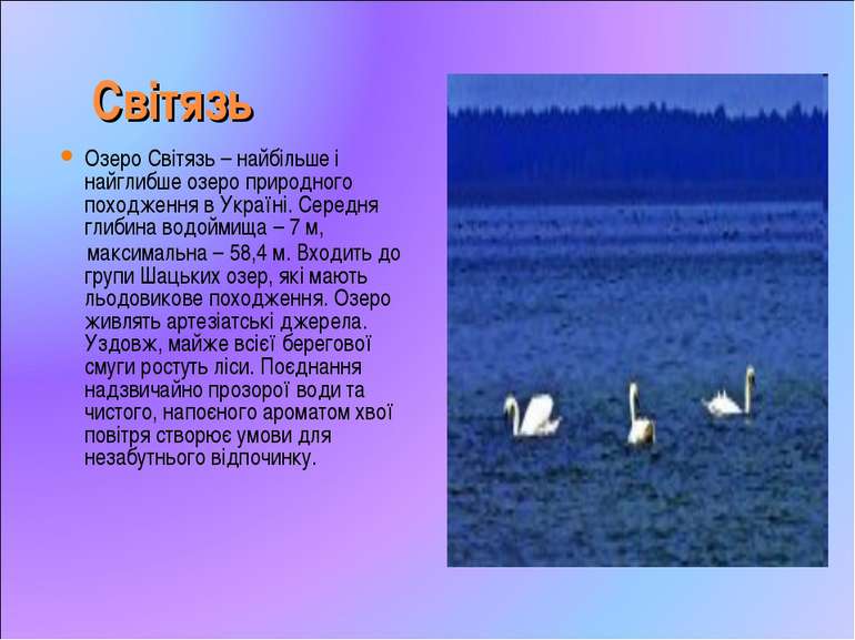 Світязь Озеро Світязь – найбільше і найглибше озеро природного походження в У...