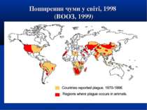Поширення чуми у світі, 1998 (ВООЗ, 1999)