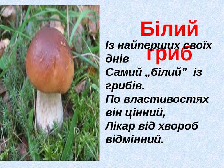 Білий гриб Із найперших своїх днів Самий „білий” із грибів. По властивостях в...