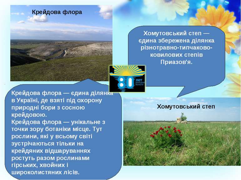Крейдова флора — єдина ділянка в Україні, де взяті під охорону природні бори ...