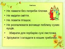 Пам’ятка Не ламати без потреби гілочки. Не кидати сміття. Не ловити пташок. Н...