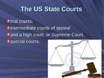 The US State Courts trial courts, intermediate courts of appeal and a high co...