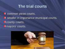 The trial courts common pleas courts, smaller in importance municipal courts,...