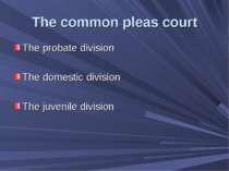 The common pleas court The probate division The domestic division The juvenil...