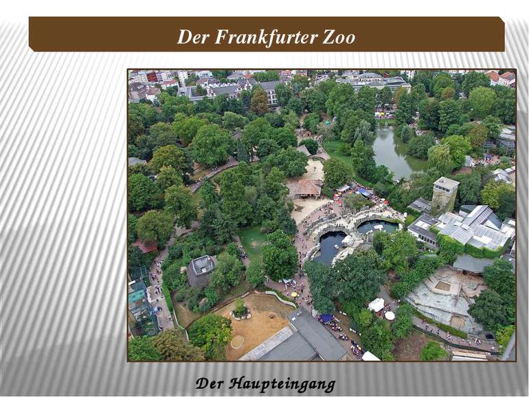 Der Haupteingang Der Frankfurter Zoo