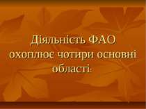 Діяльність ФАО охоплює чотири основні області: