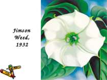 Jimson Weed, 1932