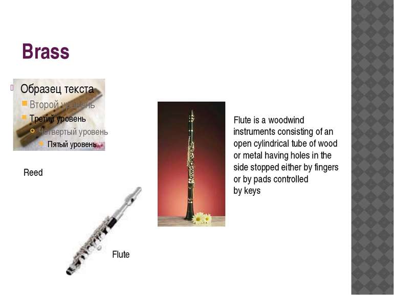 Brass Reed Flute is a woodwind instruments consisting of an open cylindrical ...