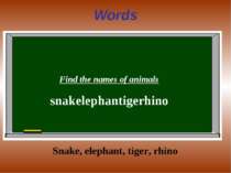 Words Find the names of animals snakelephantigerhino Snake, elephant, tiger, ...