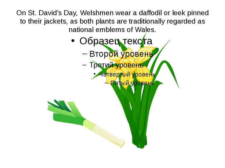 On St. David's Day, Welshmen wear a daffodil or leek pinned to their jackets,...