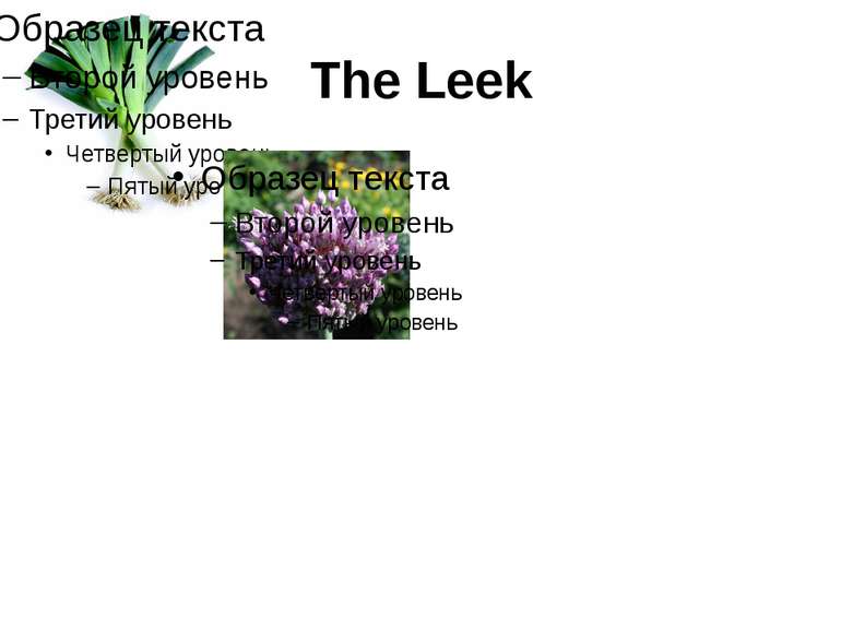 The Leek