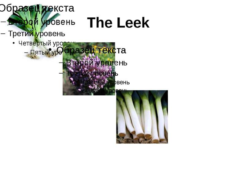 The Leek