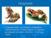 ПОДУМАЙ Ставкова жаба, що мешкає у водоймах і поблизу від них, активна вдень,...