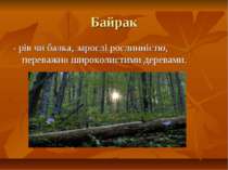 Байрак - рів чи балка, зарослі рослинністю, переважно широколистими деревами.