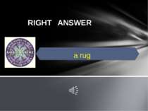 RIGHT ANSWER a rug