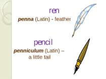 ren penna (Latin) - feather pencil penniculum (Latin) – a little tail