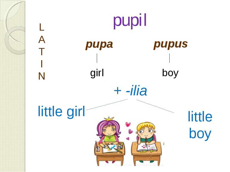 pupil pupa pupus L A T I N girl boy + -ilia little girl little boy