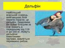 Дельфін Найбільший морський ссавець, який мешкає біля берегів України, це дел...