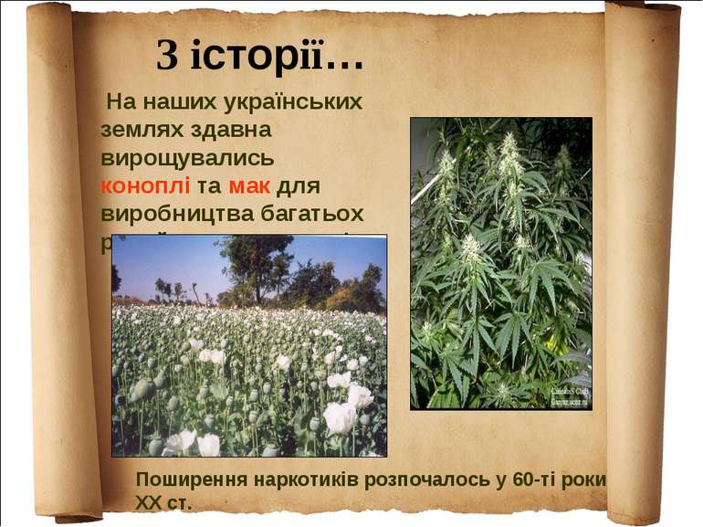 На наших українських землях здавна вирощувались коноплі та мак для виробництв...