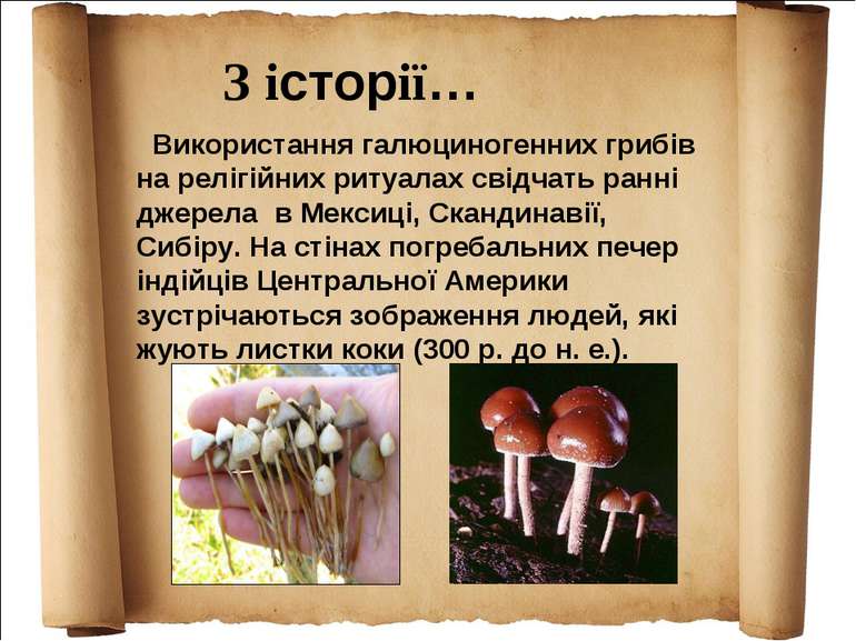 Використання галюциногенних грибів на релігійних ритуалах свідчать ранні джер...