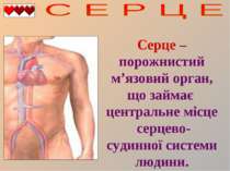 Серце – порожнистий м’язовий орган, що займає центральне місце серцево-судинн...