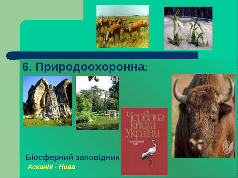 6. Природоохоронна: Біосферний заповідник Асканія - Нова