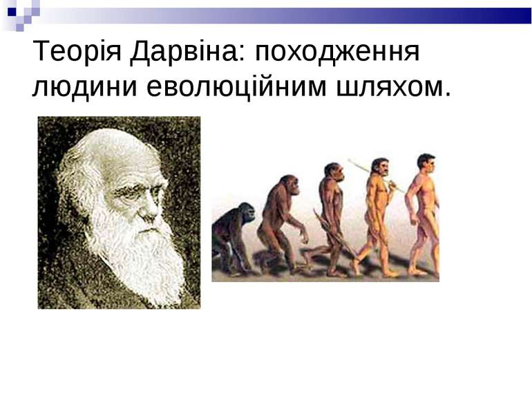 Теорія Дарвіна: походження людини еволюційним шляхом.