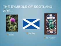 THE SYMBOLS OF SCOTLAND ARE… St. Andrew the flag thistle
