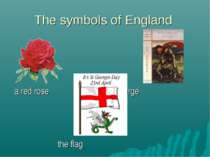 The symbols of England a red rose Saint George the flag