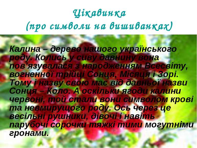 Цікавинка (про символи на вишиванках) Калина – дерево нашого українського род...