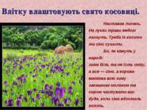 Влітку влаштовують свято косовиці. Наставав липень. На луках трави медом пахн...