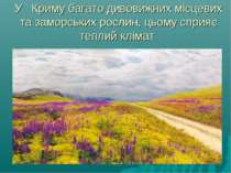 У Криму багато дивовижних місцевих та заморських рослин, цьому сприяє теплий ...