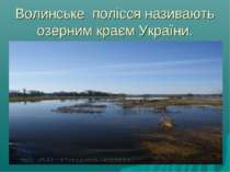 Волинське полісся називають озерним краєм України.