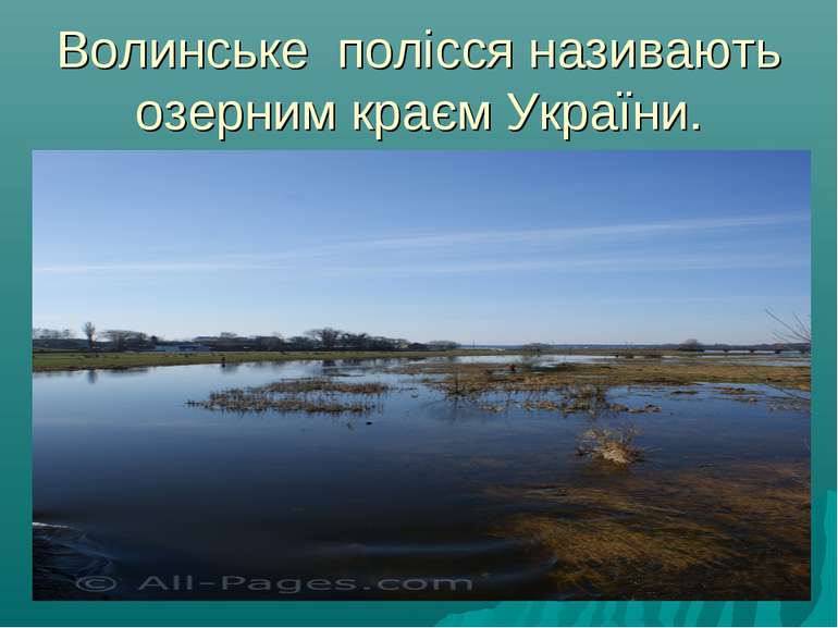 Волинське полісся називають озерним краєм України.
