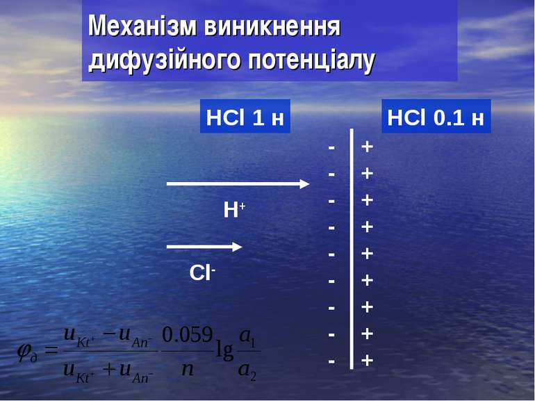 Механізм виникнення дифузійного потенціалу HCl 1 н HCl 0.1 н H+ Cl- + + + + +...