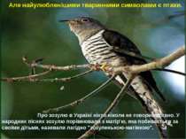 Але найулюбленішими тваринними символами є птахи. Про зозулю в Україні ніхто ...