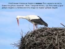 Улюбленим птахом на Україні є лелека. Його назвали на честь божества добра і ...