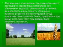 Збереження і поліпшення стану навколишнього природного середовища неможливе б...