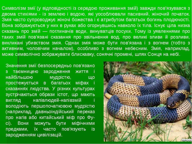 Символізм змії (у відповідності із середою проживання змій) завжди пов’язував...
