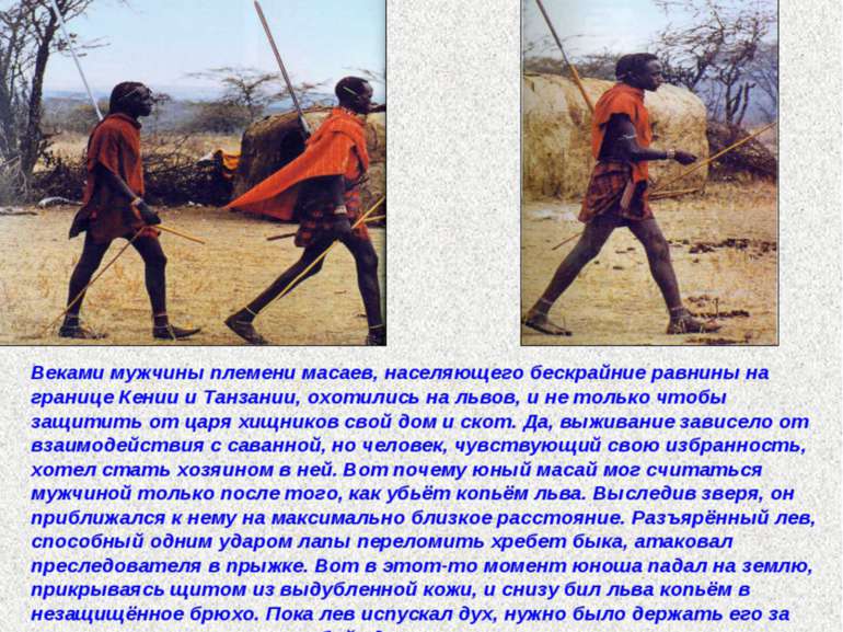 Веками мужчины племени масаев, населяющего бескрайние равнины на границе Кени...