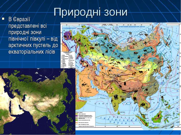 Природні зони В Євразії представлені всі природні зони північної півкулі – ві...